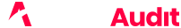 website audit